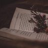 Profilbild von راء | Rabab