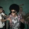 Ovelha's profile picture