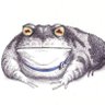 The Deep State Hypno-Toad profil fotoğrafı