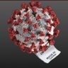 Фото профиля CCP virus