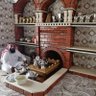 Фото профиля عبدالله البلوي