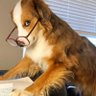 Jasmine's profile picture