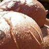 Random muscles 的头像