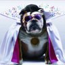 ElvisDawg profil fotoğrafı
