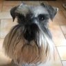 Profilbild von Sarah