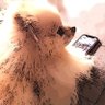 JoeToyes profil fotoğrafı