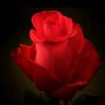 Aliraqe's profile picture
