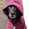 Tricky's profile picture