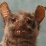 El hijo del papá's profile picture