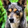 Zeta profil fotoğrafı