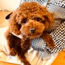 yasu_kun's profile picture