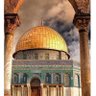 سلطان البوسعيدي🇴🇲🇵🇸🇴🇲 的头像