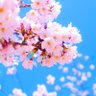 Фото профиля prsmn