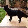 Profilbild von Zohar