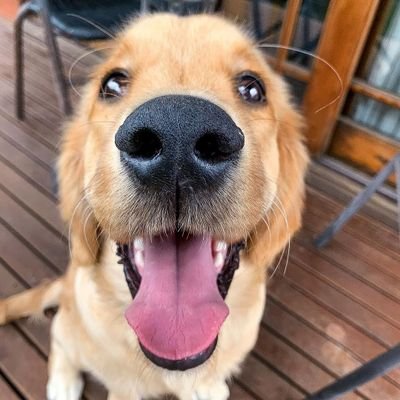 Pati Arkadaş's profile picture