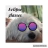 Tree417's profile picture