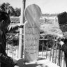 Al Musaffir profil fotoğrafı