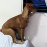 Lizaguilar68 的头像