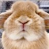 さく profil fotoğrafı