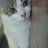 saori's profile picture