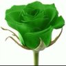 Profilbild von Essam Alhamd