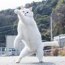 Фото профиля ジョリ
