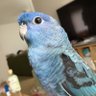 じゅんこ's profile picture