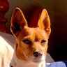 Profilbild von ApeyLikey