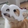 Eduard Dragonpaw 的头像