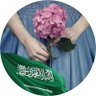 Фото профиля يغار الورد🍃