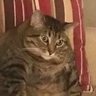 Profilbild von W Shawford