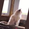 Lee profil fotoğrafı