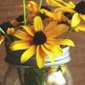 Profilbild von SunflowersWineAndSmiles