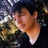 Lucas Cavallini's profile picture