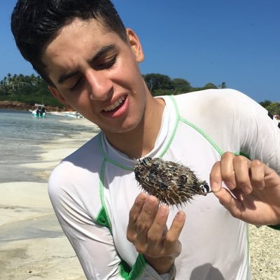 fernandobroce2's profile picture