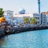 🌱Moosa-Oman🌱🇴🇲🇵🇸's profile picture