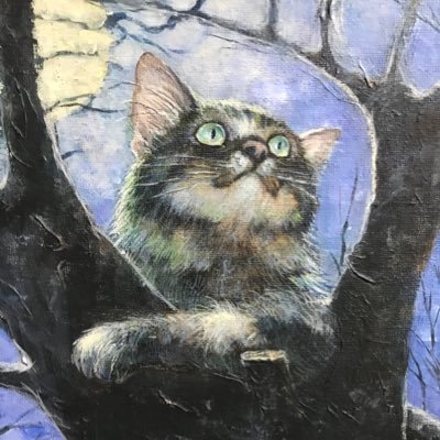 空猫's profile picture