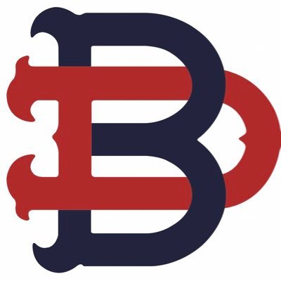 Baseball Dudes Inc. 🇺🇸⚾️'s profile picture