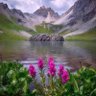 Фото профиля متفائل