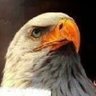 Jehzeen's profile picture
