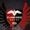 C.R.Flamengo's profile picture