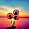 erdinc profil fotoğrafı