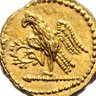 Profilbild von Aquila 