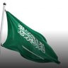 شيخه's profile picture