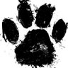 Burl's profile picture