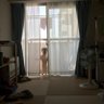 ama profil fotoğrafı