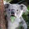 march.'s profile picture