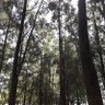 Matias Filepi's profile picture