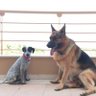 effrosyni profil fotoğrafı