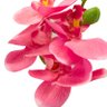 Фото профиля C.F.
